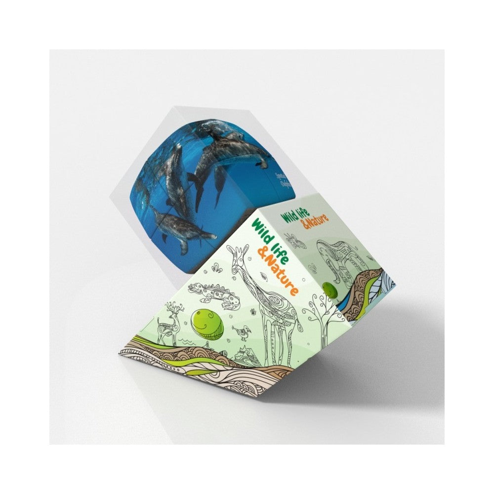 V-Cube Dolphins 2X2 Pillow