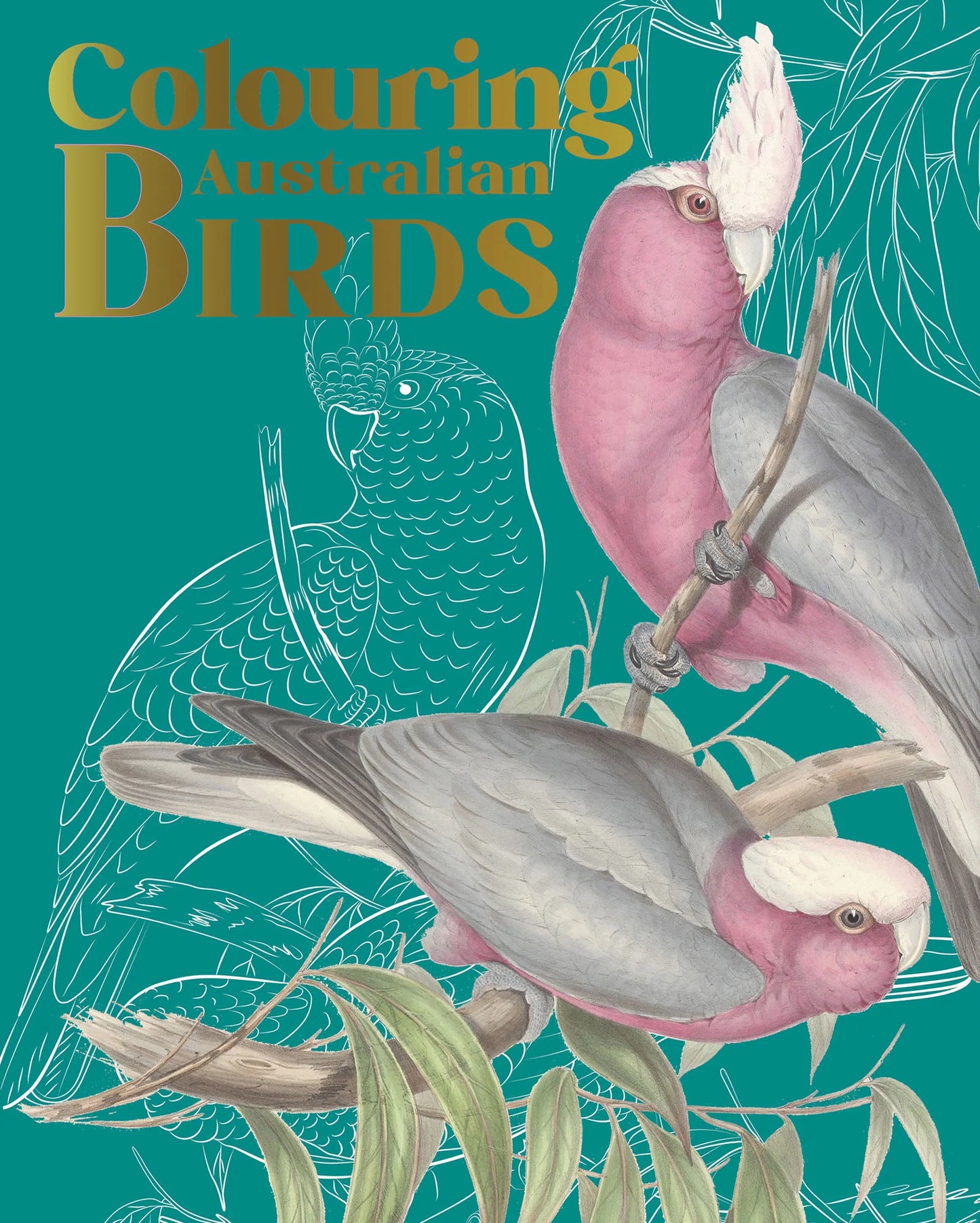Colouring Australian Birds - Fifth Edition