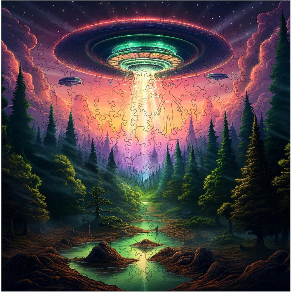 Puzzle - Trippy Puzzles - 300 Pce Wood Jigsaw Earthly Encounter