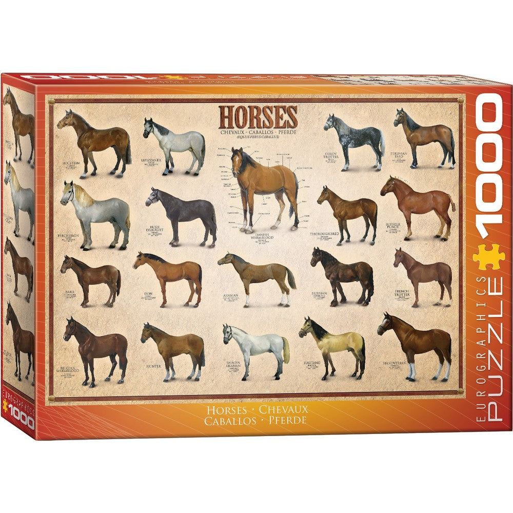 Puzzle - Eurographics - Horses 1000pc