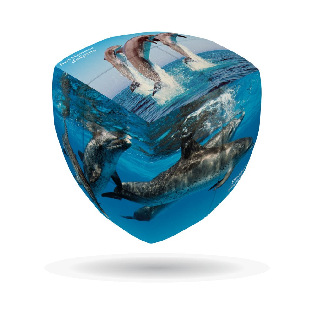 V-Cube Australia 2X2 Pillow